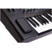 ARTURIA PolyBrute Noir - синтезатор, 61 клавиша, 6 голосная полифония,...