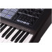 ARTURIA PolyBrute Noir - синтезатор, 61 клавиша, 6 голосная полифония,...