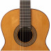 ALTAMIRA N300+ CASE - Гитара классическая 4/4